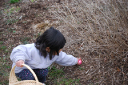 easter_egg_hunt_2008_11