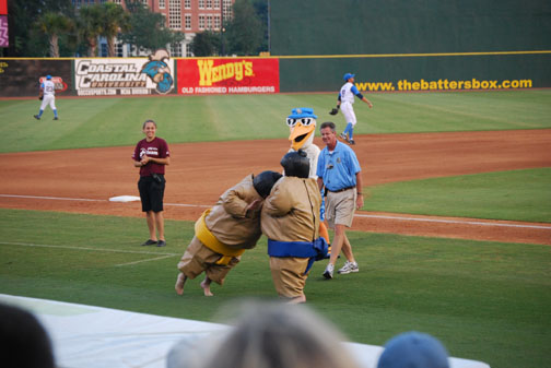 mb_pelican_game_2008_17