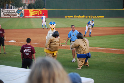 mb_pelican_game_2008_19