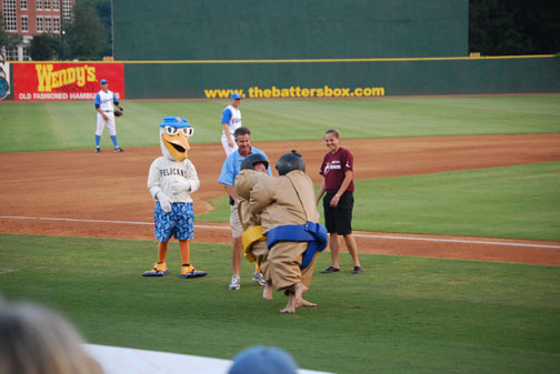 mb_pelican_game_2008_25