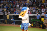 mb_pelican_game_2008_35