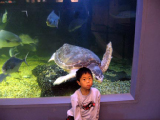 ac_aquarium_06_13