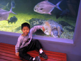 ac_aquarium_06_14