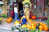 pumpkin_pick_10.jpg