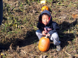 pumpkin_pick_2006_6