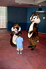 chip_and_dale_2.jpg